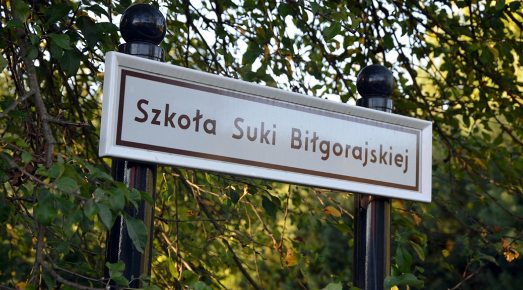 szkola-suki-bilgorajskiej-tabliczka